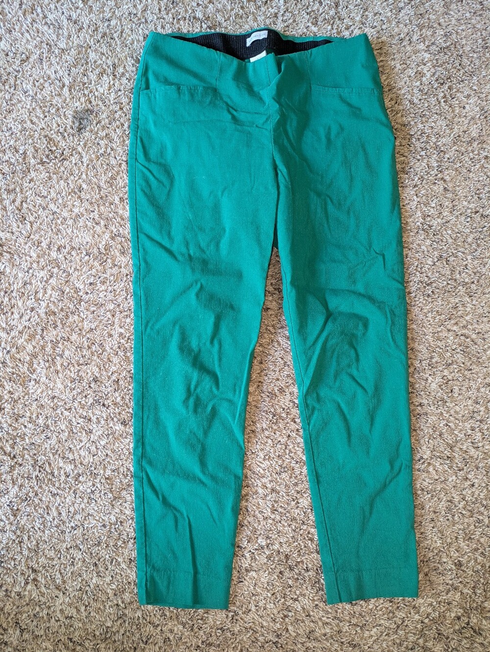 Van Heusen Green Pull On Pants